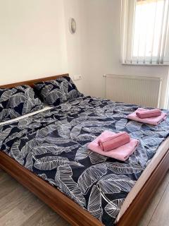 BIG Apartment 3 Bedrooms - Bihać - 9