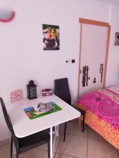 STUDIO ST GREGOIRE Au Pied des Vosges et Vignoble ! - Munster - 4