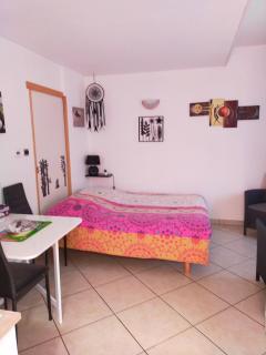 STUDIO ST GREGOIRE Au Pied des Vosges et Vignoble ! - Munster - 0