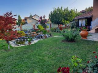 Guest House Rose - Smederevska Palanka - 0