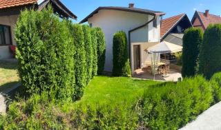 Apartmani Nini Vlasina - Vlasina Rid - 8