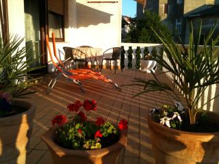 Family Apartments Vesna- 100 m Beach -Center Crikvenica - 2