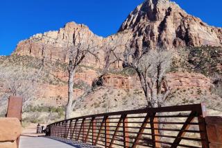 Live Simply Cabin, Walking distance to East Zion trails - Orderville - 6
