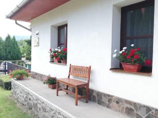 Kemencés Vendégház - Mikóháza - 7