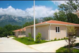 Vivaldi EKO Complex - 8