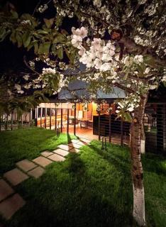 Andor Hotel - Erevan - 5