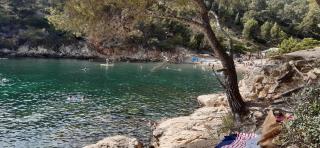 Petit coin de paradis au soleil près de la mer - Saint-Cyr-sur-Mer - 1