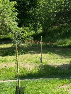 Appartamento Roero cottage 3 - 3