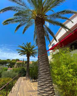 THE ADDRESS CASSIS - Cassis - 3