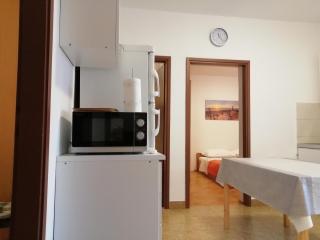 Apartment in Nin with loggia, air conditioning, WiFi, washing machine 4986-1 - 1