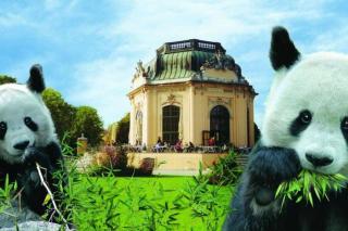 Modernes Leben l LF28 - 5