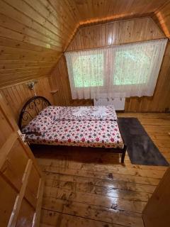 Vila Maria Dambovicioara - 8