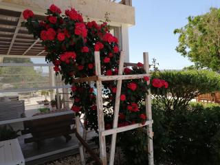 Infinity view villa - Nata - 5