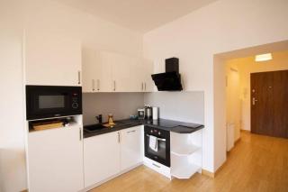 Das Wien Loft l LF30 - Vienna - 5