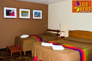 Hostal los Uros - Puno - 4