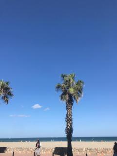 Studio plage - Canet-en-Roussillon - 0