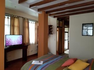 Finca Paraiso Mountain Retreat near San Jose Airport - Birrí - 7