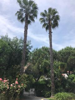 Giorgio's Inn - 7