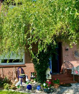 Haus Claudia - Schneverdingen - 9