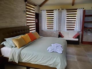 Finca Paraiso Mountain Retreat near San Jose Airport - Birrí - 4
