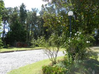 Casa de Campo Las Acacias - Tandil - 4