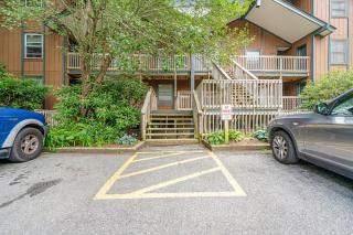 Casa Bee Branch - Sugar Mountain - 1