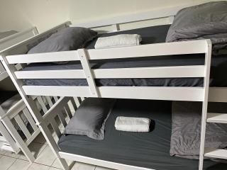 Single Size TOP Bunk Bed - Mixed Shared ROOM - 2