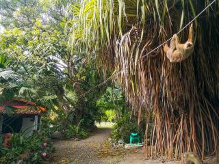 Cabinas Tito - Cahuita - 1