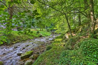 Charming Roan Mtn Cabin Across from Creek! - Roan Mountain - 8