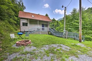 Idyllic Roan Mountain Cabin Across from Creek - Roan Mountain - 9