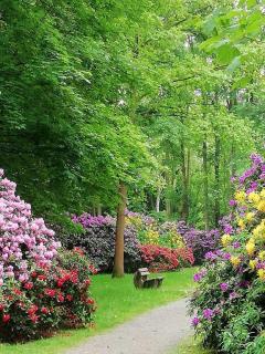 Haus Wegener - Bad Sassendorf - 4