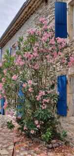 La ferme du chateau - 4