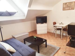 G1 Le Kiwitier - corporate apartment closest Innovel&Noveos - Clamart - 9