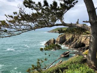 le penty plougonvelin - Plougonvelin - 8