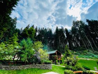 Boutique Hotel Casa Emil - Poiana Brasov - 3