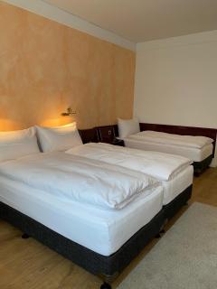 Boutique City Hotel Gallo - Saint-Gall - 8
