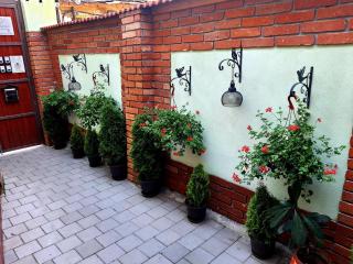 Brother's House - Sibiu - 1