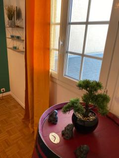 Le Rhin et Danube wifi - 3