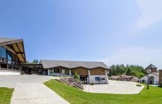 Okemo Mountain Lodge - Ludlow - 8