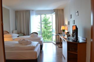 BERG & SPA HOTEL GABELBACH - Ilmenau - 8