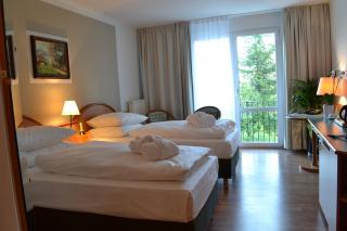 BERG & SPA HOTEL GABELBACH - Ilmenau - 7