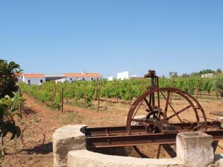 Quinta de São Gabriel - Castro Marim - 2