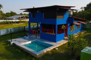 Guacamayo Azul - Iquitos - 0