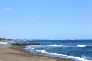 Tamu Seseh - Canggu - 4
