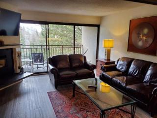 Wren 201 Condo with Vail Mountain View - 8