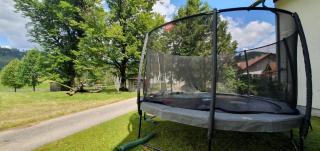 Ferienwohnungen am Bio-Bauernhof Herdengl - 7