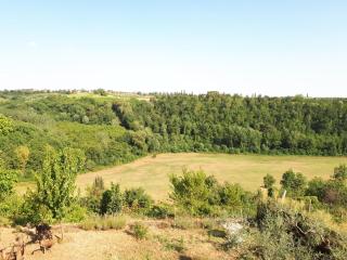 Podere Calcinaia - 1