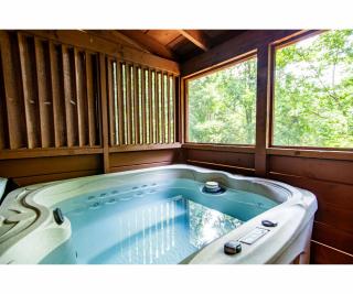 Romantic Mountain Shanty with Hot Tub and Fireplace - 9