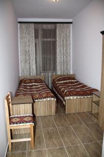 Zanger Hotel - 9
