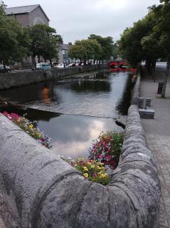 Country Lane Homestay - Westport - 2